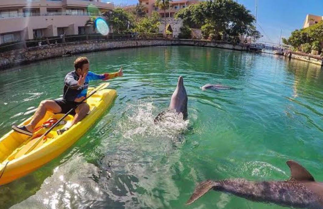 Apartament Puerto Aventuras, Departamento A Unos Pasos De La Playa Zewnętrze zdjęcie